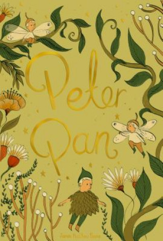 Kniha Peter Pan Barrie