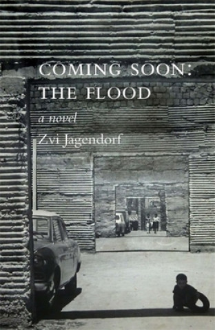 Kniha Coming Soon: The Flood Zvi Jagendorf