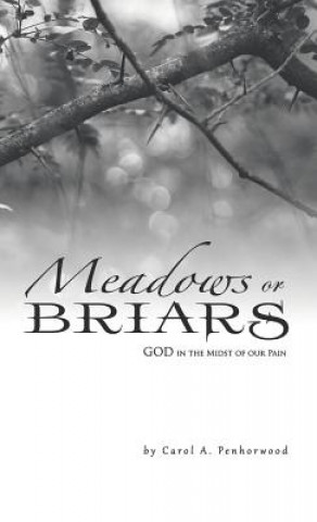 Knjiga Meadows or Briars Carol a Penhorwood