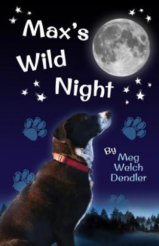 Book Max's Wild Night Meg Welch Dendler