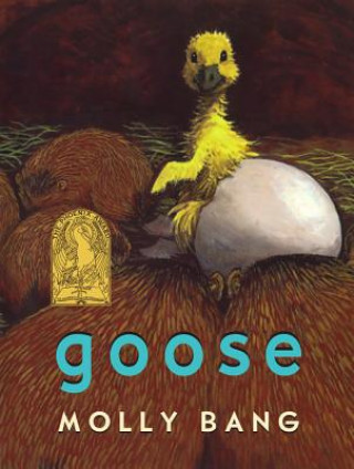 Kniha Goose Molly Bang