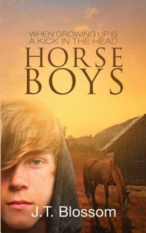 Kniha Horse Boys J T Blossom