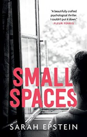 Book Small Spaces Sarah Epstein