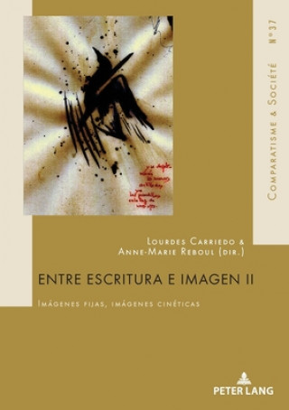 Kniha Entre Escritura E Imagen II Lourdes Carriedo Lopez