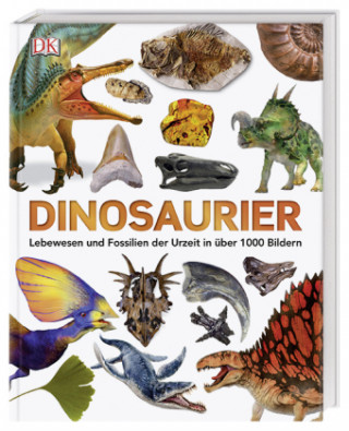 Kniha Dinosaurier 