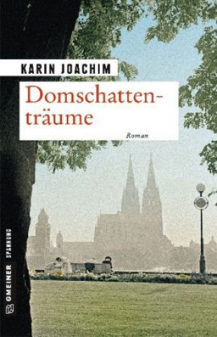 Boek Domschattenträume Karin Joachim