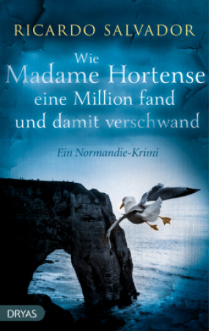 Buch Wie Madame Hortense eine Million fand und damit verschwand Ricardo Salvador