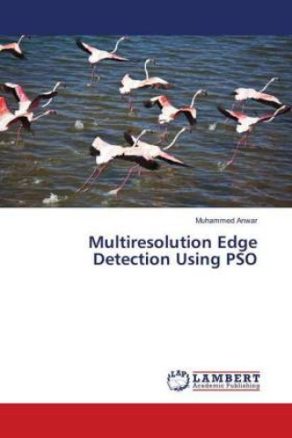 Knjiga Multiresolution Edge Detection Using PSO Muhammed Anwar