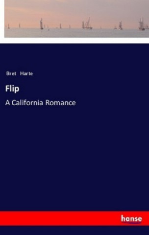Knjiga Flip Bret Harte