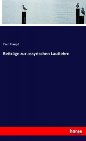 Könyv Beiträge zur assyrischen Lautlehre Paul Haupt