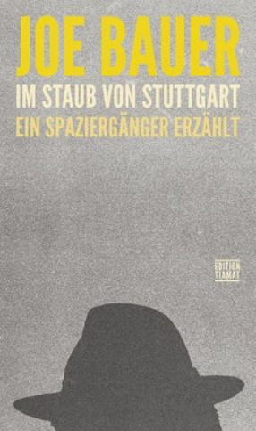 Kniha Im Staub von Stuttgart Joe Bauer
