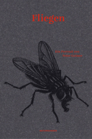 Buch Fliegen Peter Geimer