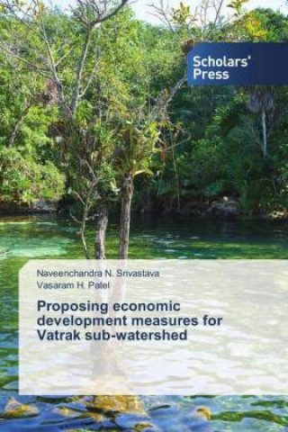 Buch Proposing economic development measures for Vatrak sub-watershed Naveenchandra N. Srivastava