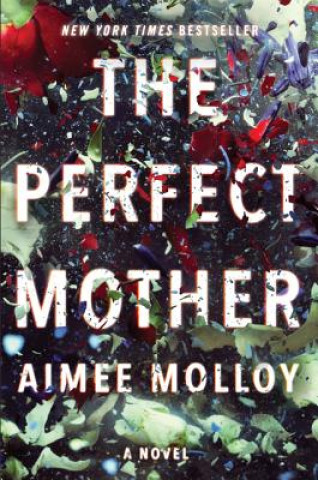 Carte Perfect Mother Aimee Molloy
