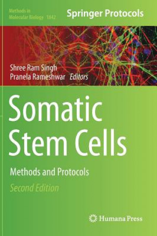 Buch Somatic Stem Cells Shree Ram Singh