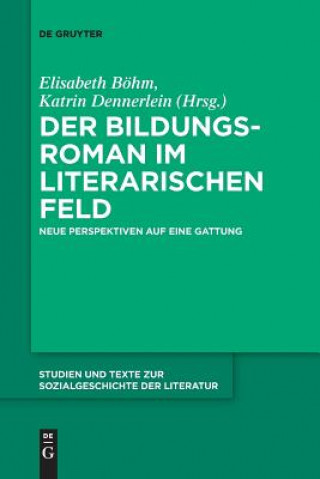 Kniha Bildungsroman im literarischen Feld Elisabeth Böhm