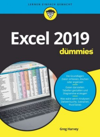 Könyv Excel 2019 fur Dummies Greg Harvey