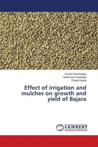 Kniha Effect of irrigation and mulches on growth and yield of Bajara Suresh Kachhadiya