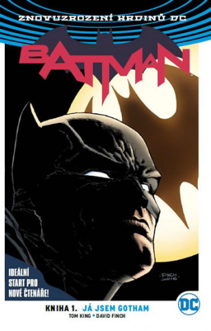 Kniha Batman Já jsem Gotham Tom King