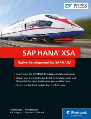 Kniha SAP Hana Xsa: Native Development for SAP Hana Francesco Alborghetti