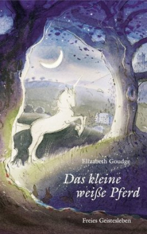 Книга Das kleine weiße Pferd Elizabeth Goudge