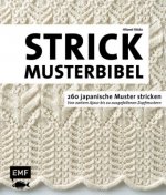 Kniha Die Strickmusterbibel - 260 japanische Muster stricken Hitomi Shida