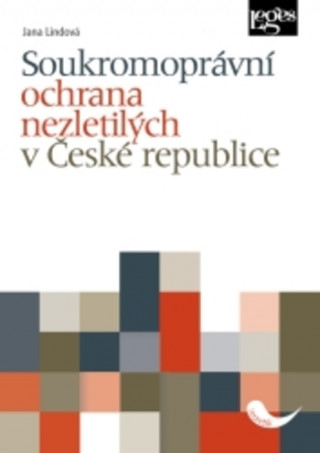 Könyv Soukromoprávní ochrana nezletilých v České republice Jana Lindová