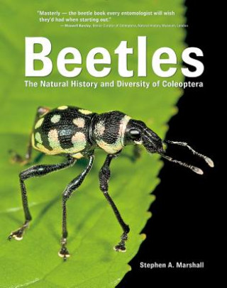 Book Beetles Stephen A. Marshall