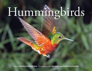 Könyv Hummingbirds Ronald Orenstein