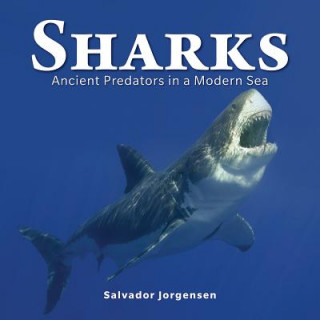 Könyv Sharks Salvador Jorgensen