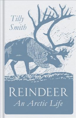 Libro Reindeer Tilly Smith
