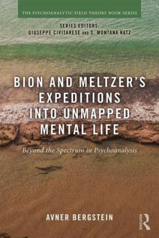 Kniha Bion and Meltzer's Expeditions into Unmapped Mental Life BERGSTEIN