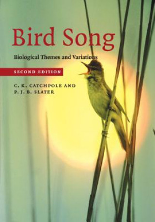 Kniha Bird Song Catchpole