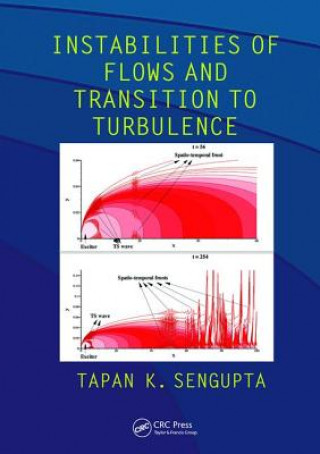 Buch Instabilities of Flows and Transition to Turbulence SENGUPTA