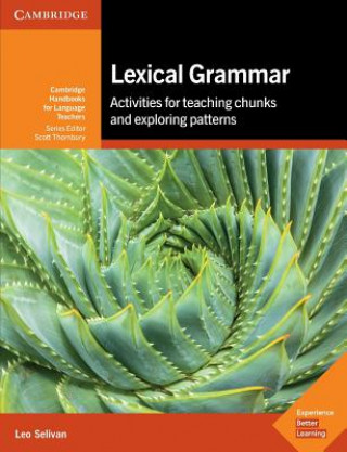 Kniha Lexical Grammar Leo Selivan