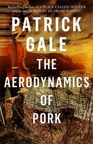 Kniha Aerodynamics of Pork Patrick Gale
