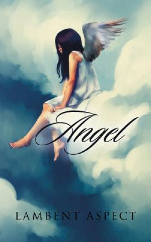 Libro Angel LAMBENT ASPECT