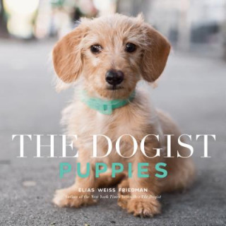 Könyv Dogist Puppies Elias Weiss Friedman