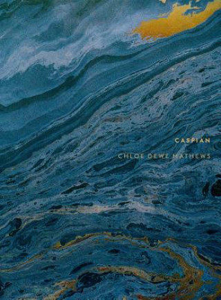 Boek Chloe Dewe Mathews: Caspian: The Elements Chloe Dewe Mathews