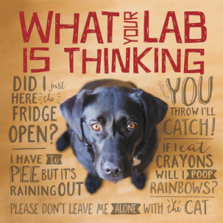 Książka What Your Lab Is Thinking Willow Creek Press