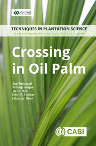Könyv Crossing in Oil Palm Setiawati