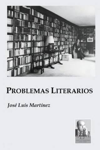 Könyv Problemas Literarios JOS  LU S MART NEZ