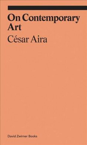 Book On Contemporary Art Cesar Aira