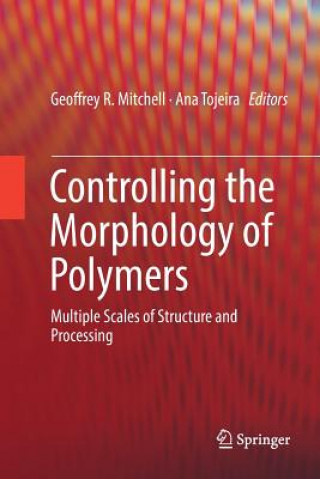 Książka Controlling the Morphology of Polymers GEOFFREY R MITCHELL