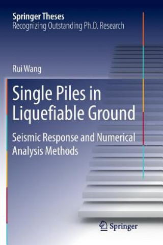Kniha Single Piles in Liquefiable Ground RUI WANG