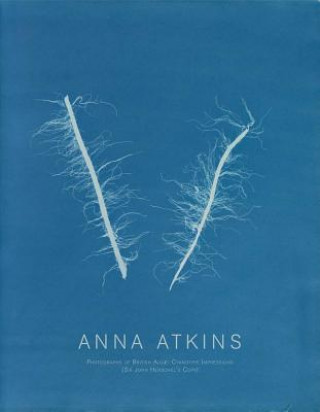 Könyv Anna Atkins: Photographs of British Algae Anna Atkins