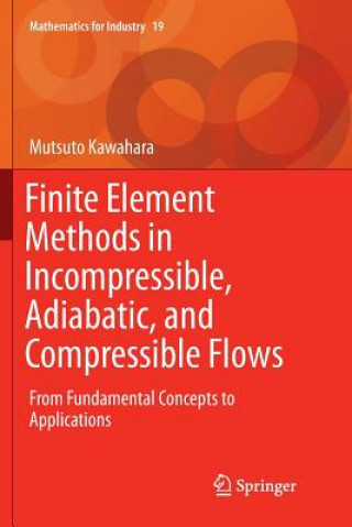 Книга Finite Element Methods in Incompressible, Adiabatic, and Compressible Flows MUTSUTO KAWAHARA