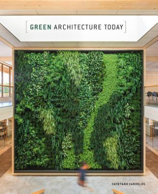 Könyv Green Architecture Today Cayetano Cardelus