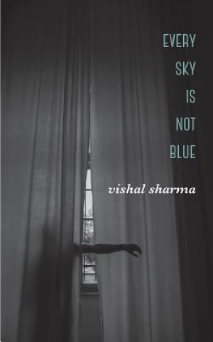 Kniha Every Sky is Not Blue VISHAL SHARMA