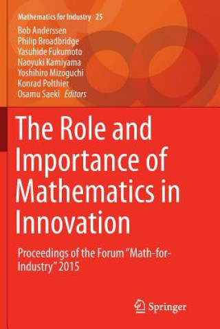 Kniha Role and Importance of Mathematics in Innovation BOB ANDERSSEN